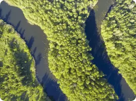 Environnement